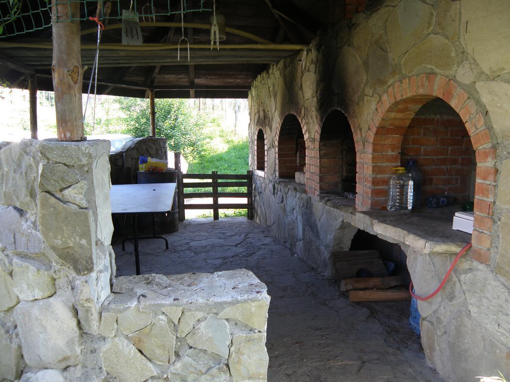 Cabana Poiana Galdei Exterior photo